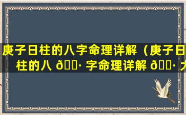 庚子日柱的八字命理详解（庚子日柱的八 🌷 字命理详解 🕷 大全）